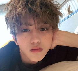 娱乐大爆料刘耀文视频,娱乐大爆料背后的惊人真相